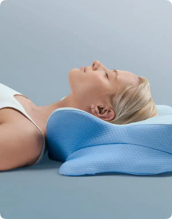 Derila Ergo Pillow for back sleepers